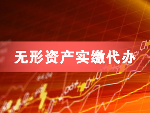 大丰无形资产实缴资本代办