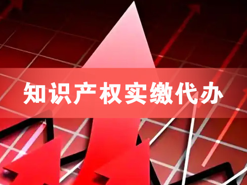 大丰知识产权实缴资本代办